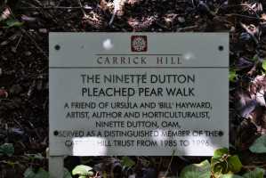 carrick hill 2014 (52)